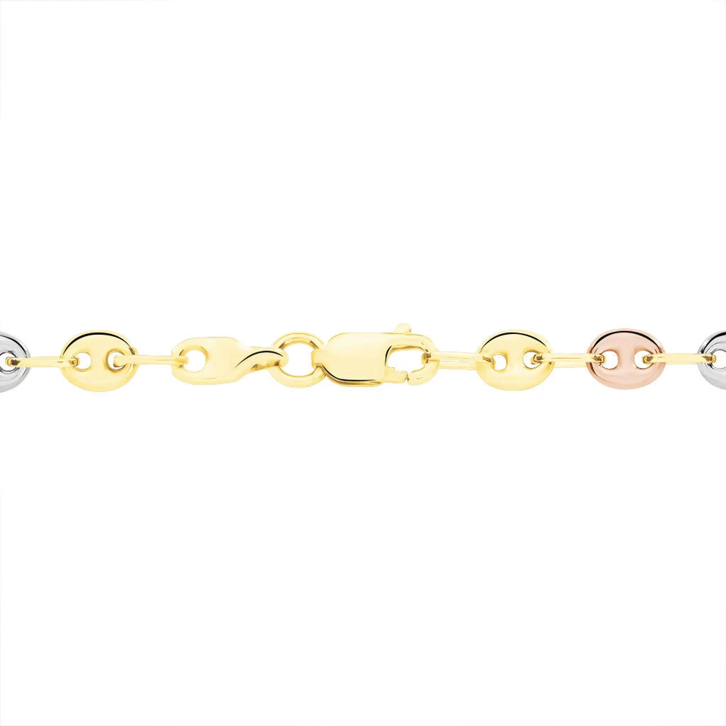Collier Dami Maille Grain De Cafe Or Tricolore 6 Collier Dami Maille Grain De Cafe Or Tricolore – Image 4