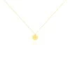 Collier Elynna Etoile Or Jaune -Bijouterie primée. B3CFJW00AE master