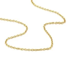 Chaîne Igoa Maille Forçat Diamantee Or Jaune -Bijouterie primée. B3CFJW0701 view2