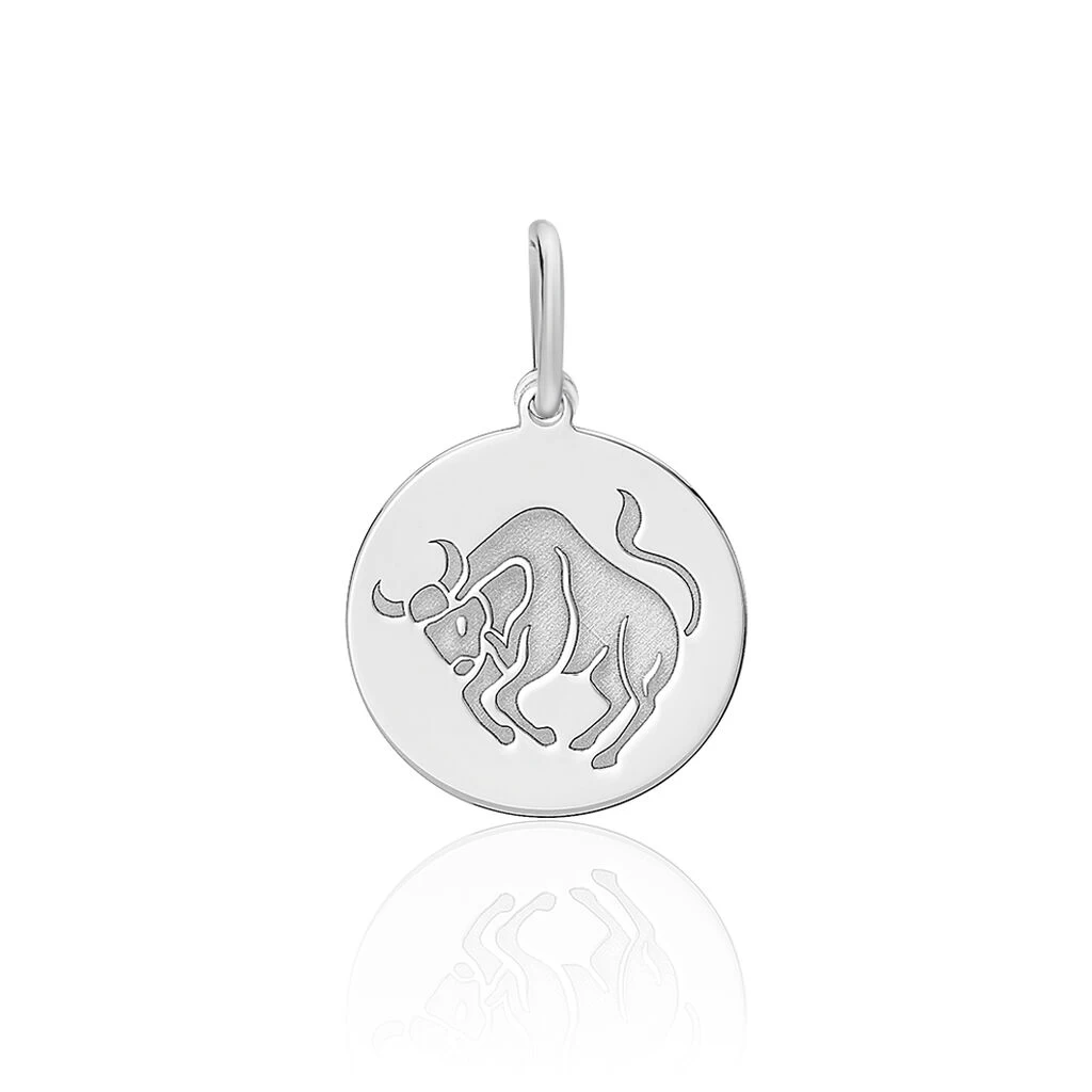 Pendentif Zodiaque Rond Argent Blanc 3 Pendentif Zodiaque Rond Argent Blanc
