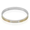 Bracelet Jonc Fermé Acier Blanc Et Plaqué Or Apollo -Bijouterie primée. FIBHBW00A4 master