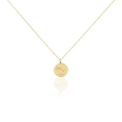 Bijouterie primée. 14 Collier Iago Plaqué Or Oxydes De Zirconium